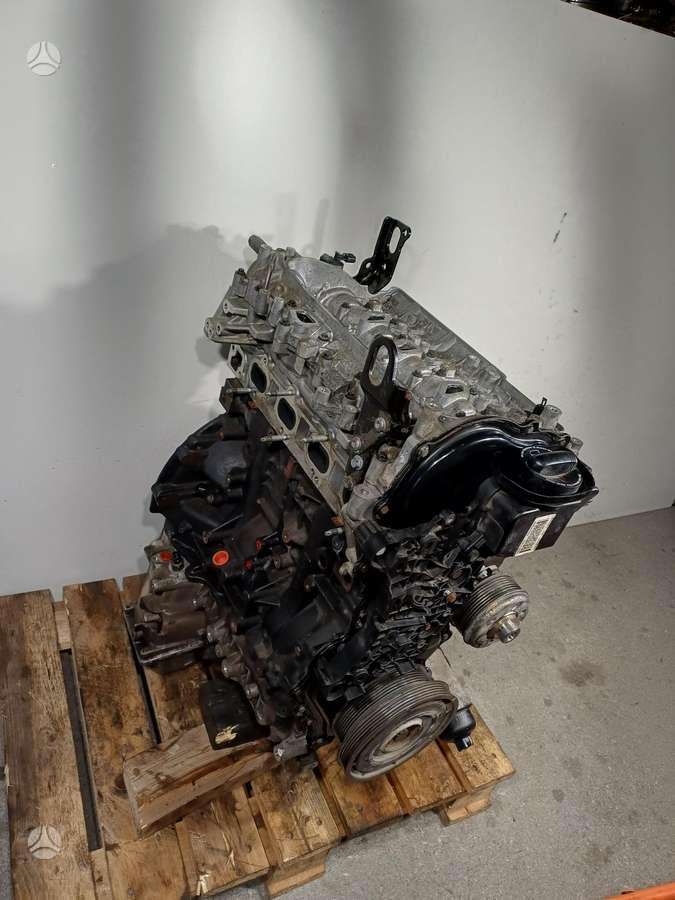 Nissan Navara, YS23D276, engine