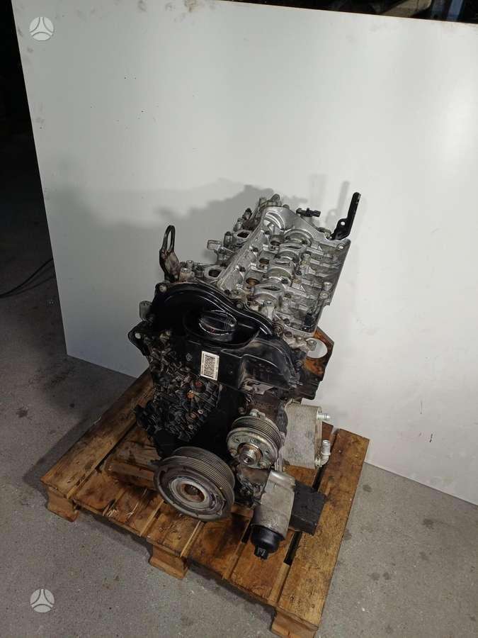 Nissan Navara, YS23D276, variklis