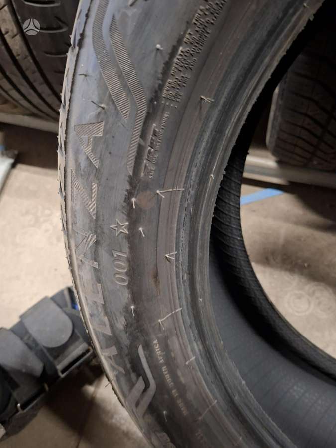 Bridgestone, vasarinės 245/50 R19