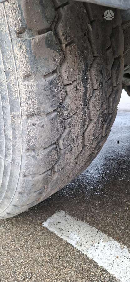 FEBER INTERCARS, savivartės