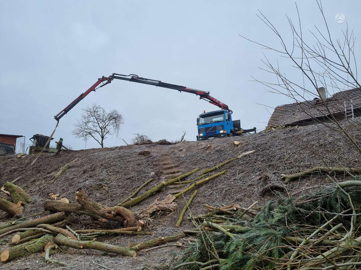 Volvo Fl10, crane trucks