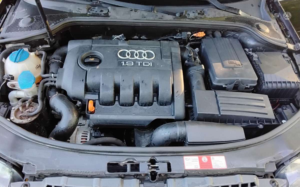 Audi A3, 1.9 l., hatchback