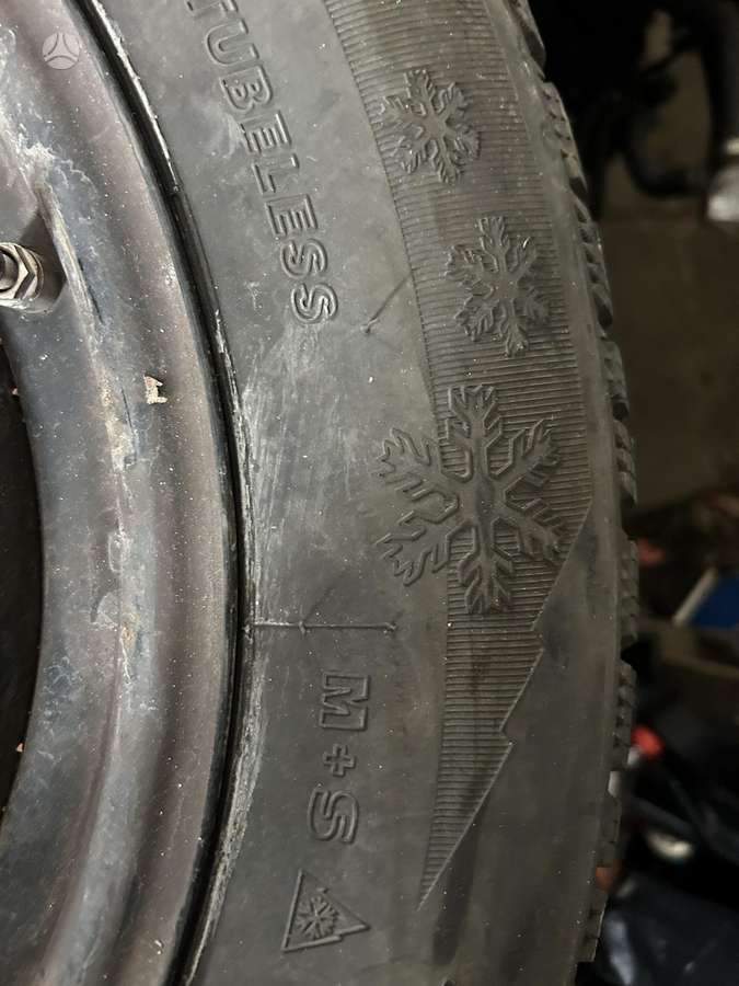 Tigar, universalios 225/65 R17