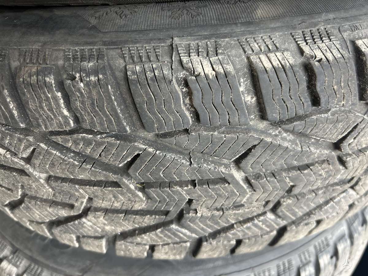 Tigar, universalios 225/65 R17