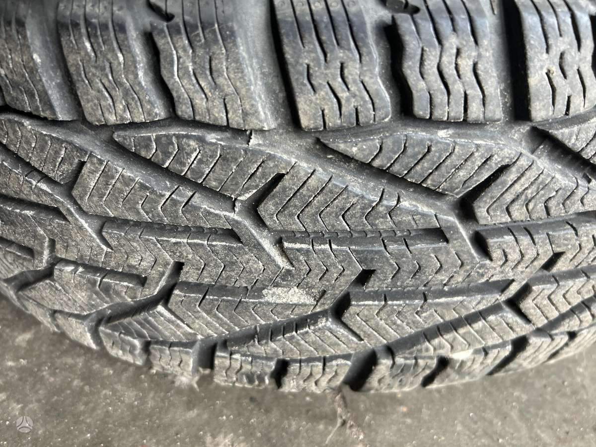 Tigar, universalios 225/65 R17
