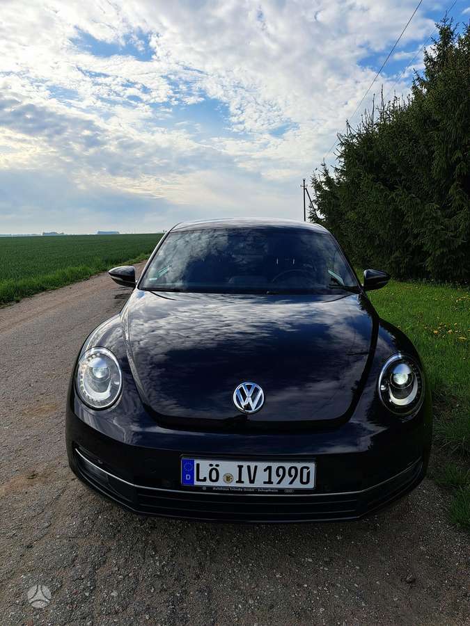 Volkswagen Beetle - 1