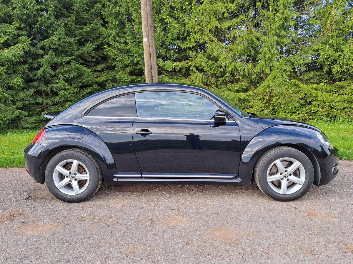 Volkswagen Beetle - 3