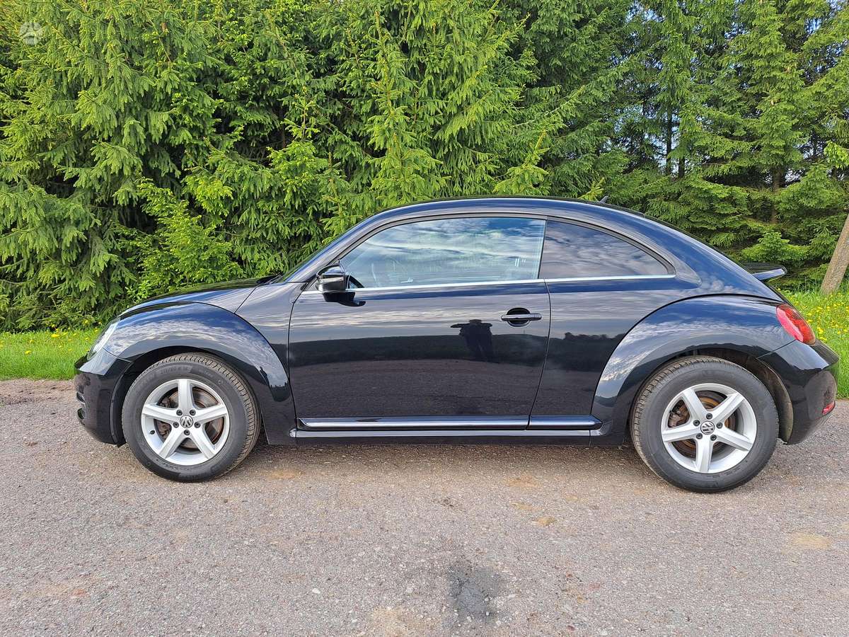 Volkswagen Beetle - 5