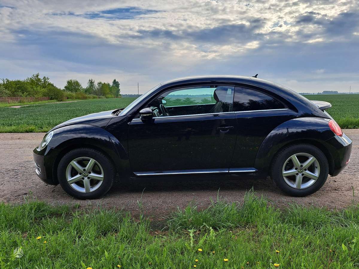 Volkswagen Beetle - 6