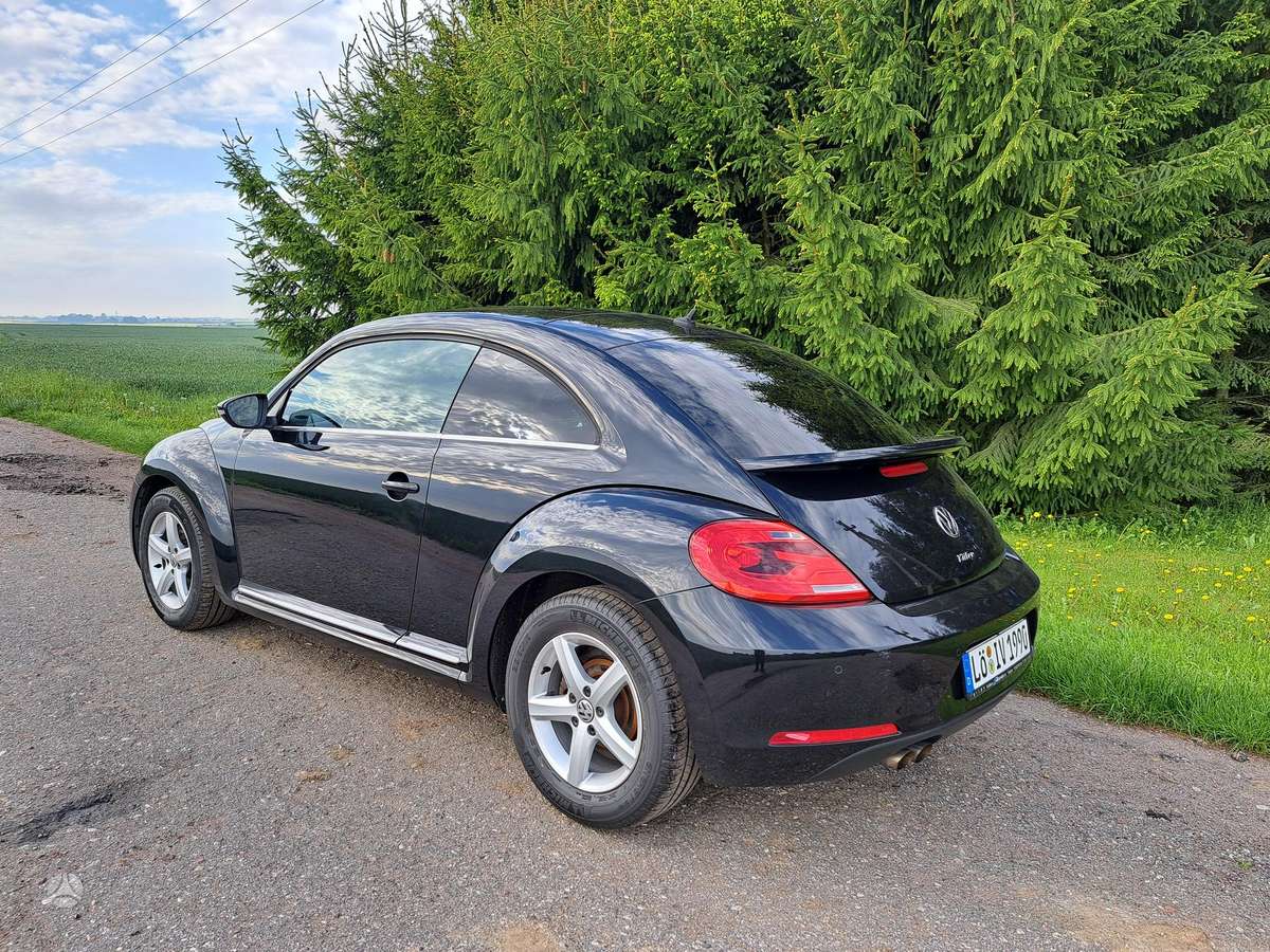Volkswagen Beetle - 7