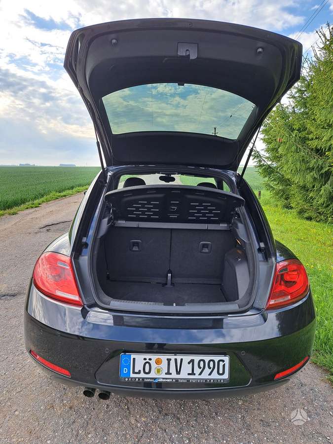 Volkswagen Beetle - 8