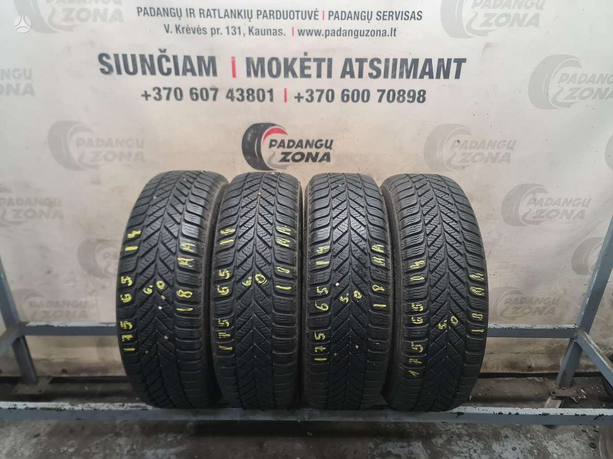 Diplomat Winter ST, winter 175/65 R14