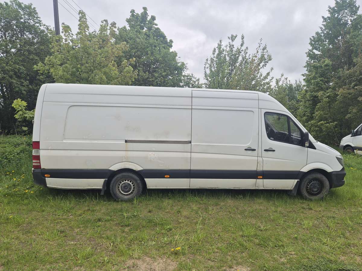 Mercedes-Benz Sprinter, passenger vans