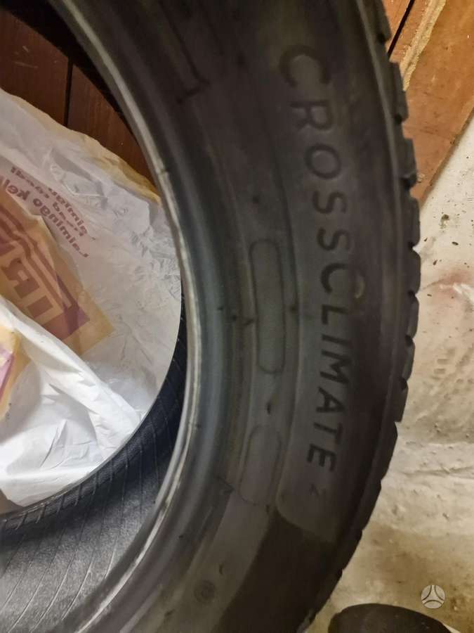 Michelin CrossClimate 2, universalios 225/55 R18