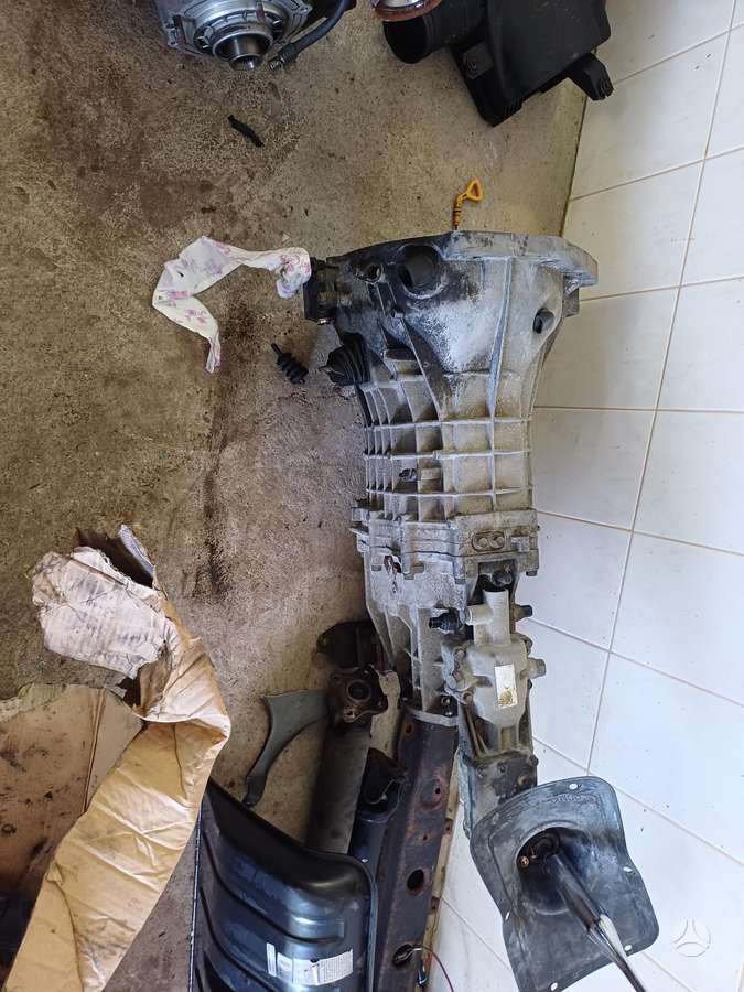 Hyundai Terracan dalimis