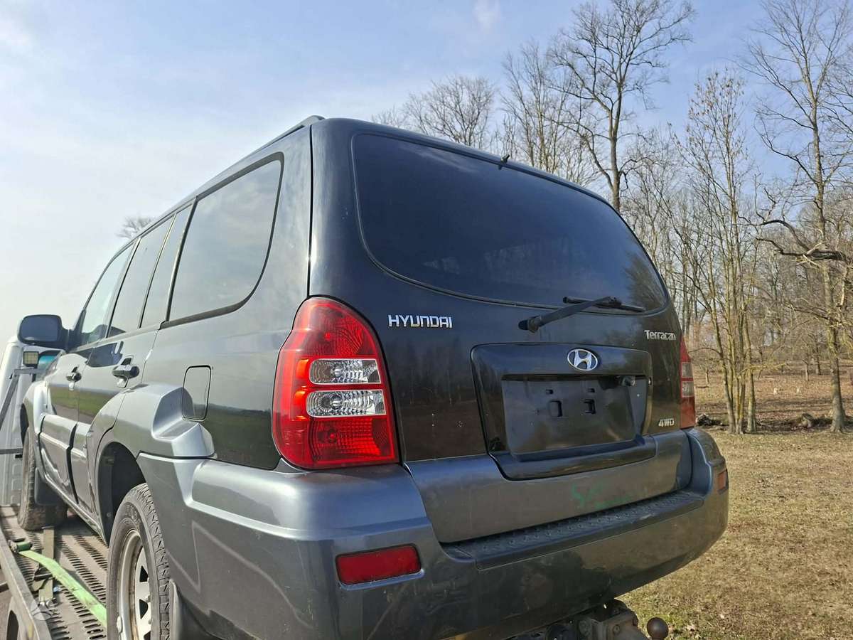 Hyundai Terracan dalimis