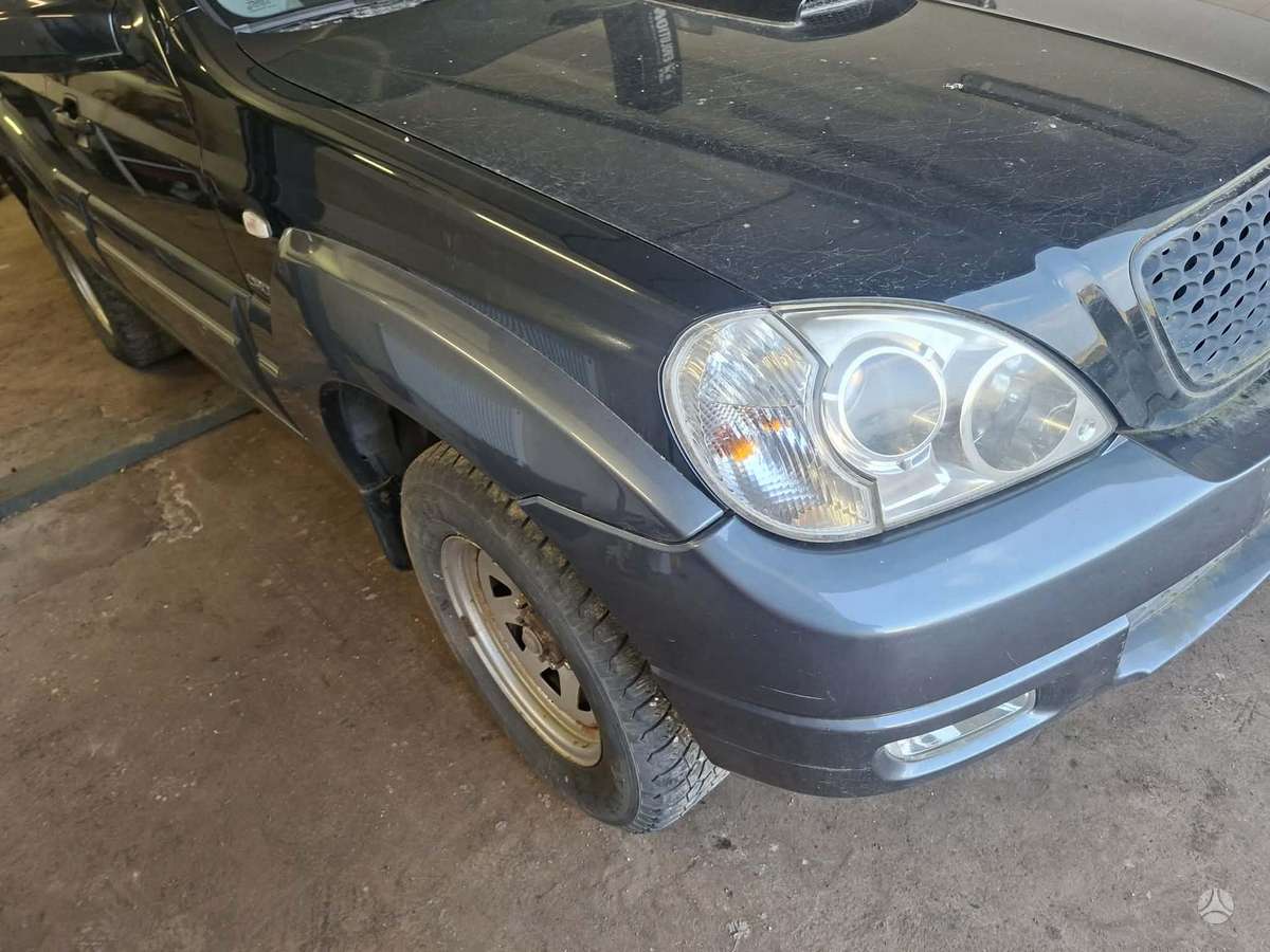 Hyundai Terracan dalimis