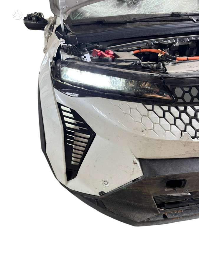 Renault Scenic E-Tech dalimis
