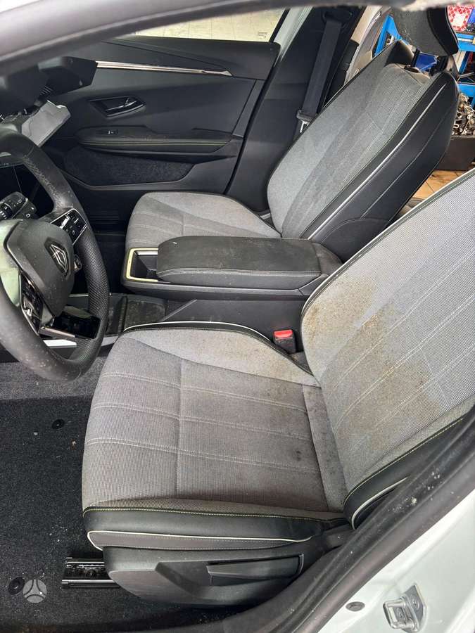 Renault Scenic E-Tech dalimis