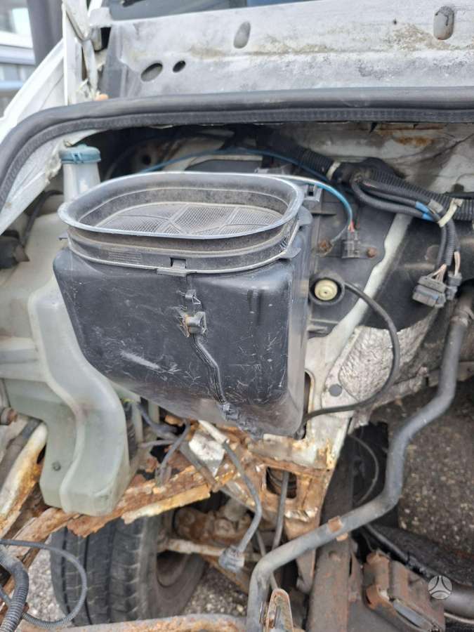 Iveco DAILY, preču