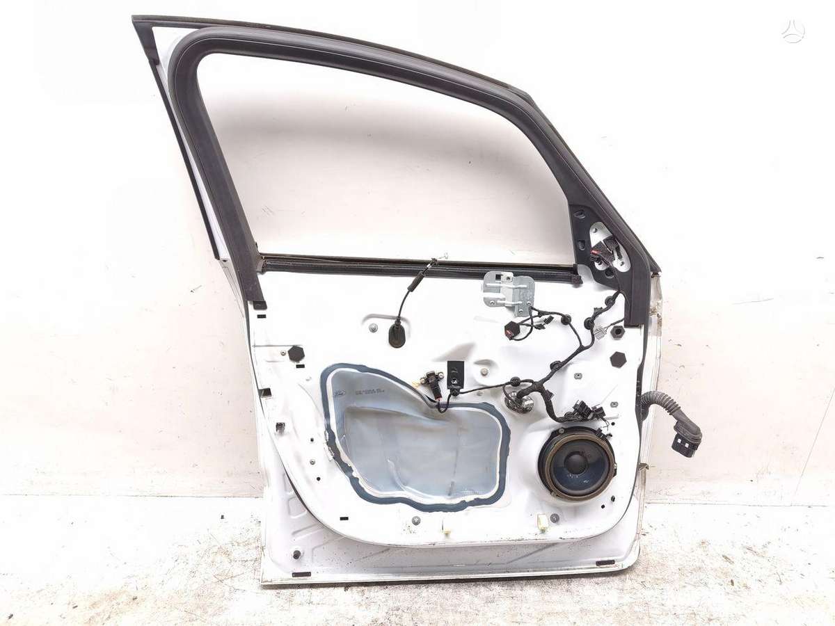 Ford S-MAX doors