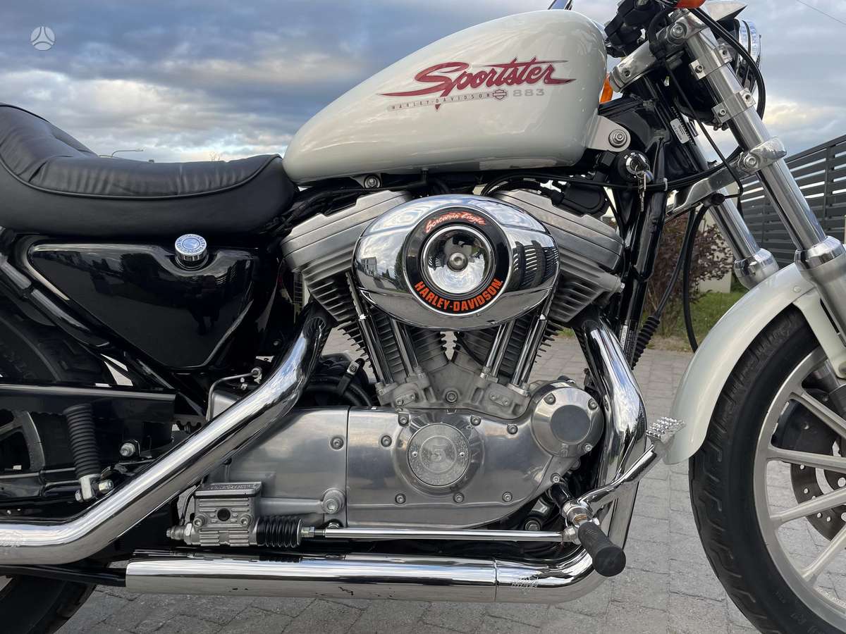 Harley-Davidson 883 883cc, чопперы / круизеры / custom