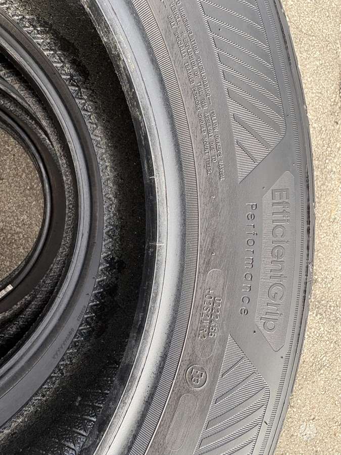 Goodyear EfficientGrip Performance EV, vasarinės 215/55 R18