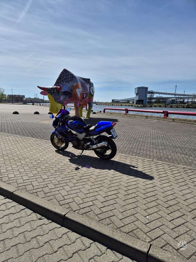 Honda VTR 1000 1000cc, superbikes