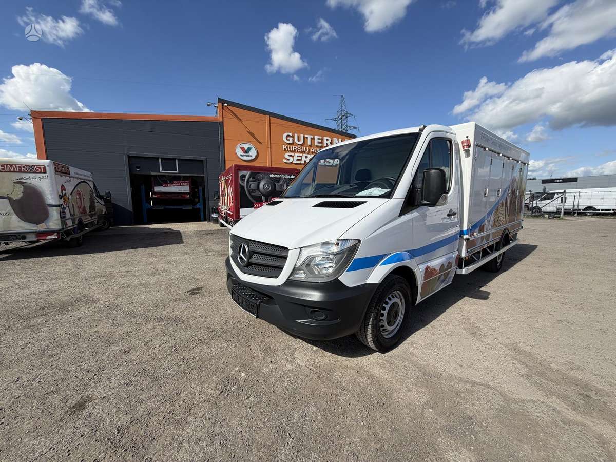 Mercedes-Benz 313, refrigerated trucks