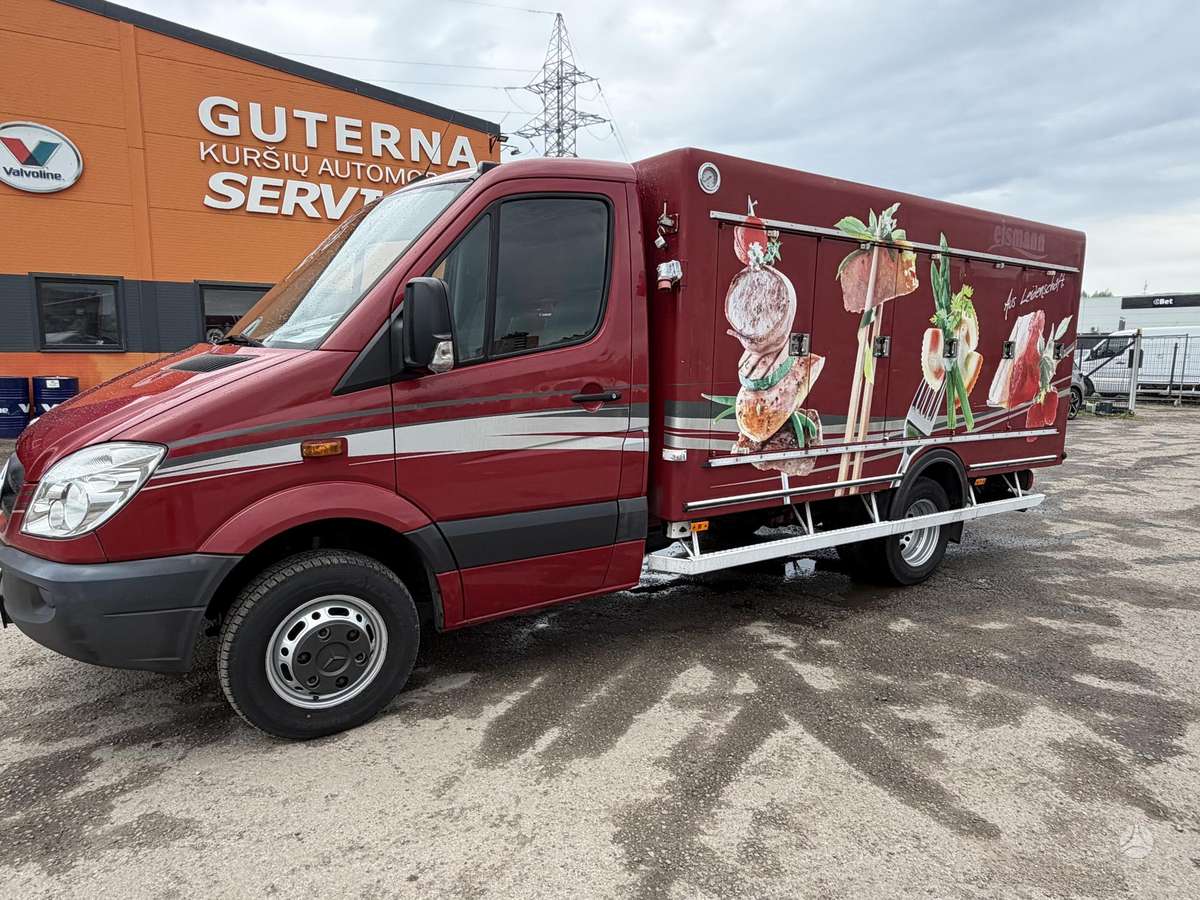 Mercedes-Benz 313, refrigerated trucks