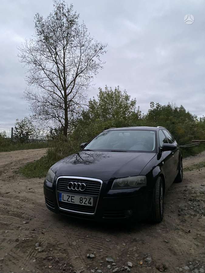 Audi A3, 2.0 l., hatchback
