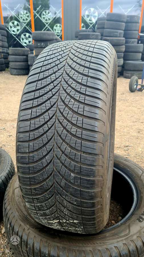 Goodyear Vector 4Seasons Gen-3, universalios 255/55 R19