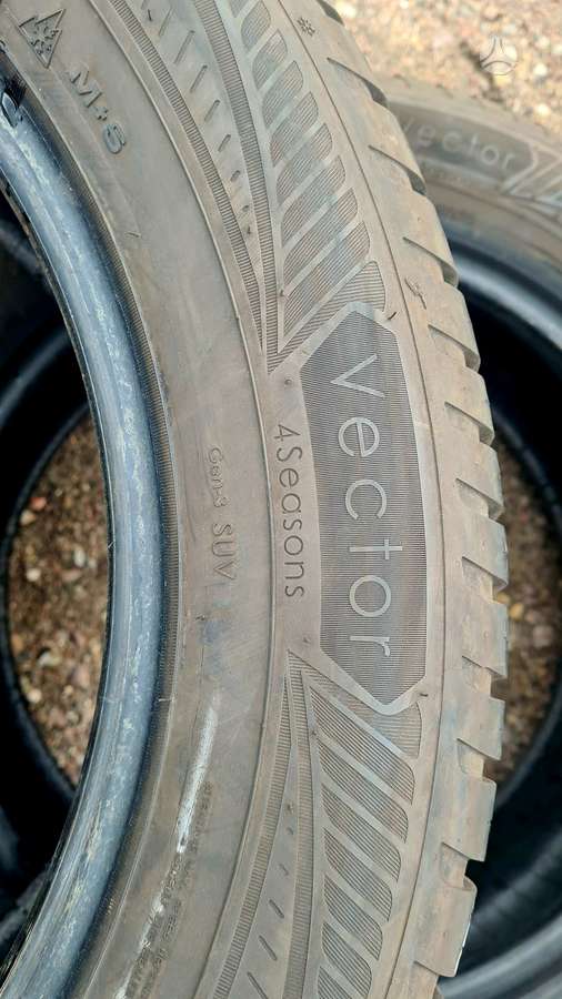 Goodyear Vector 4Seasons Gen-3, universalios 255/55 R19