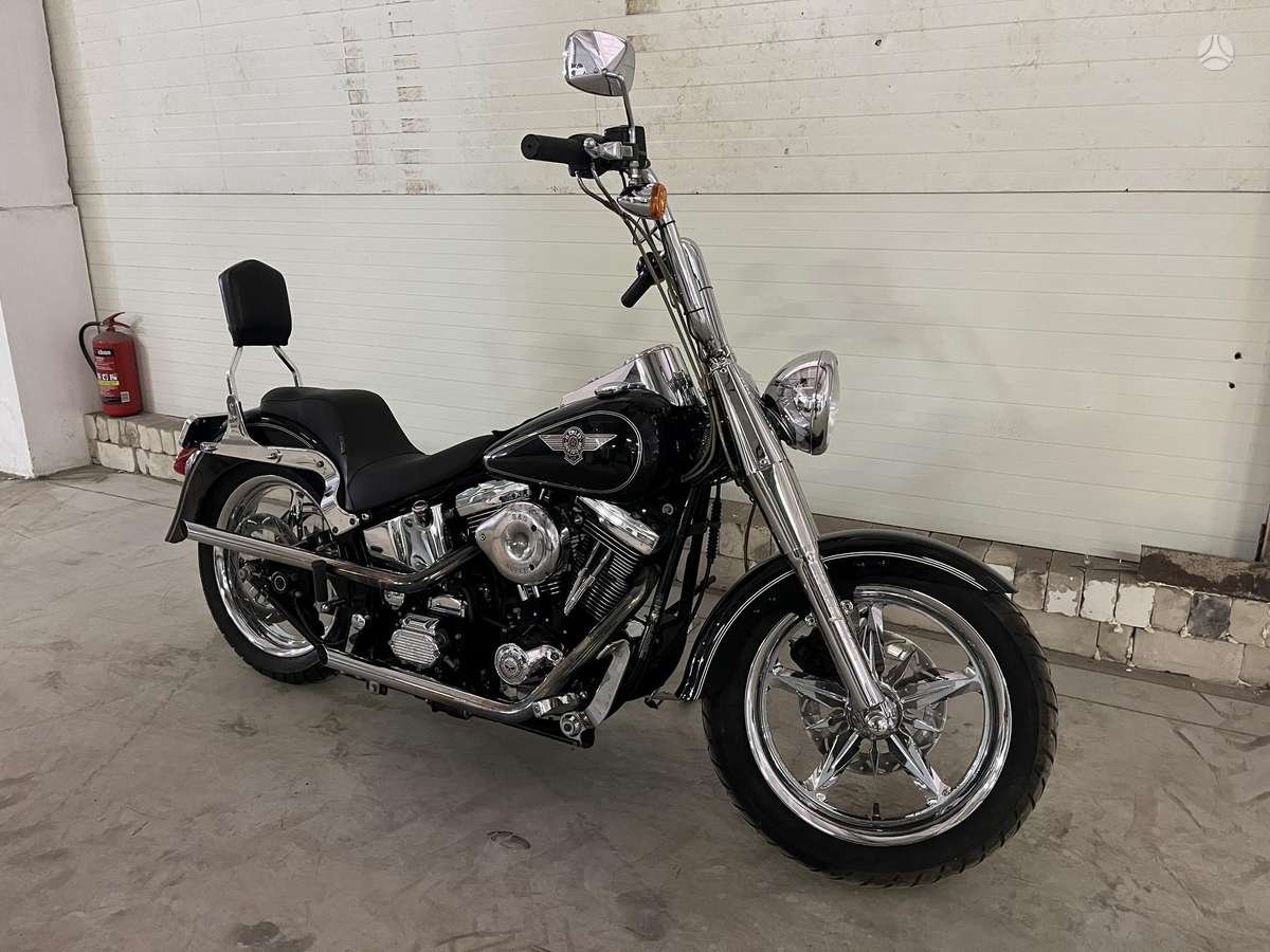 Harley-Davidson FLSTF 1340cc, choppers