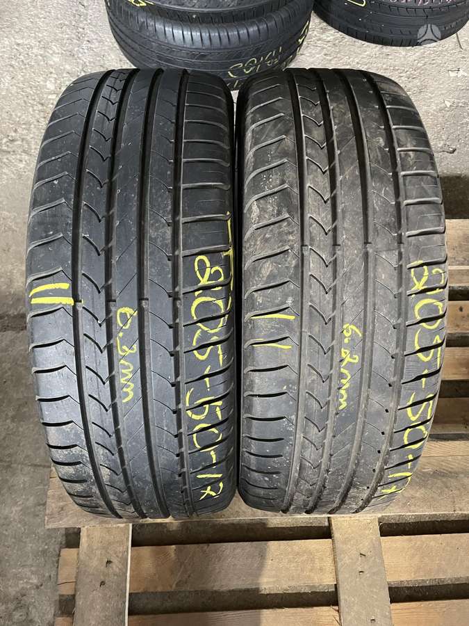 Goodyear Efficient Grip, vasarinės 205/50 R17
