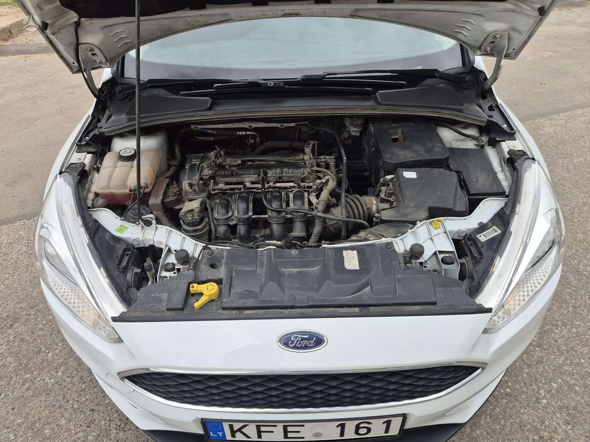 Ford Focus, 1.6 l., hatchback