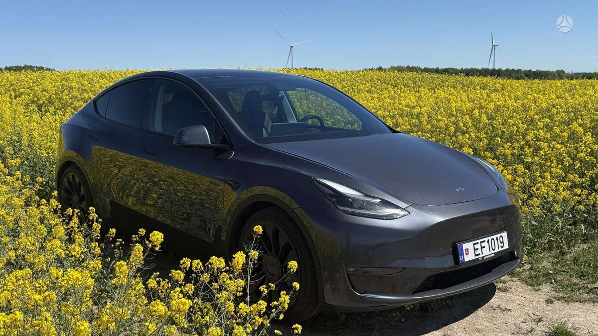 Tesla Model Y, 81 kWh, hatchback
