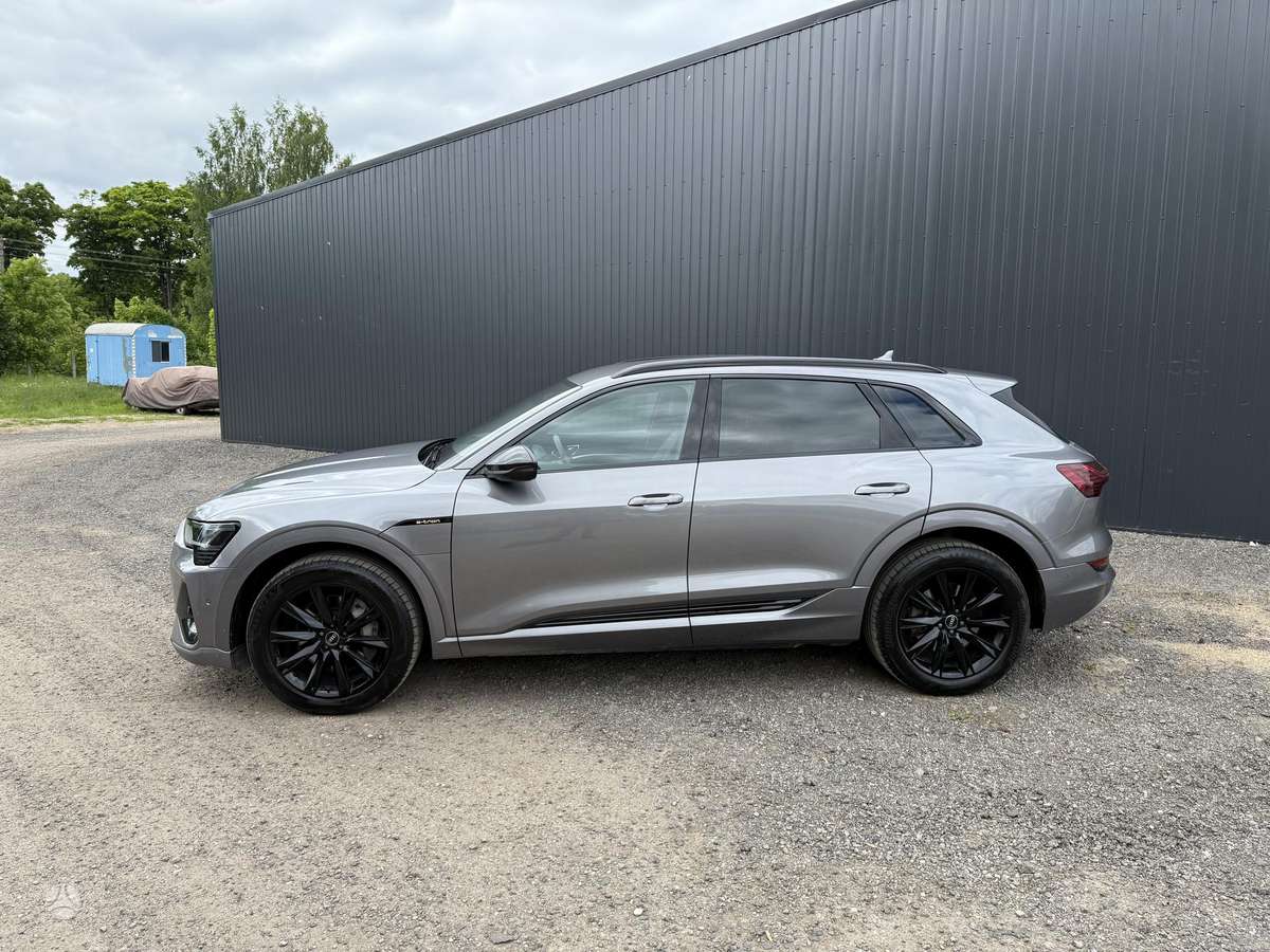 Audi e-tron, vienatūris