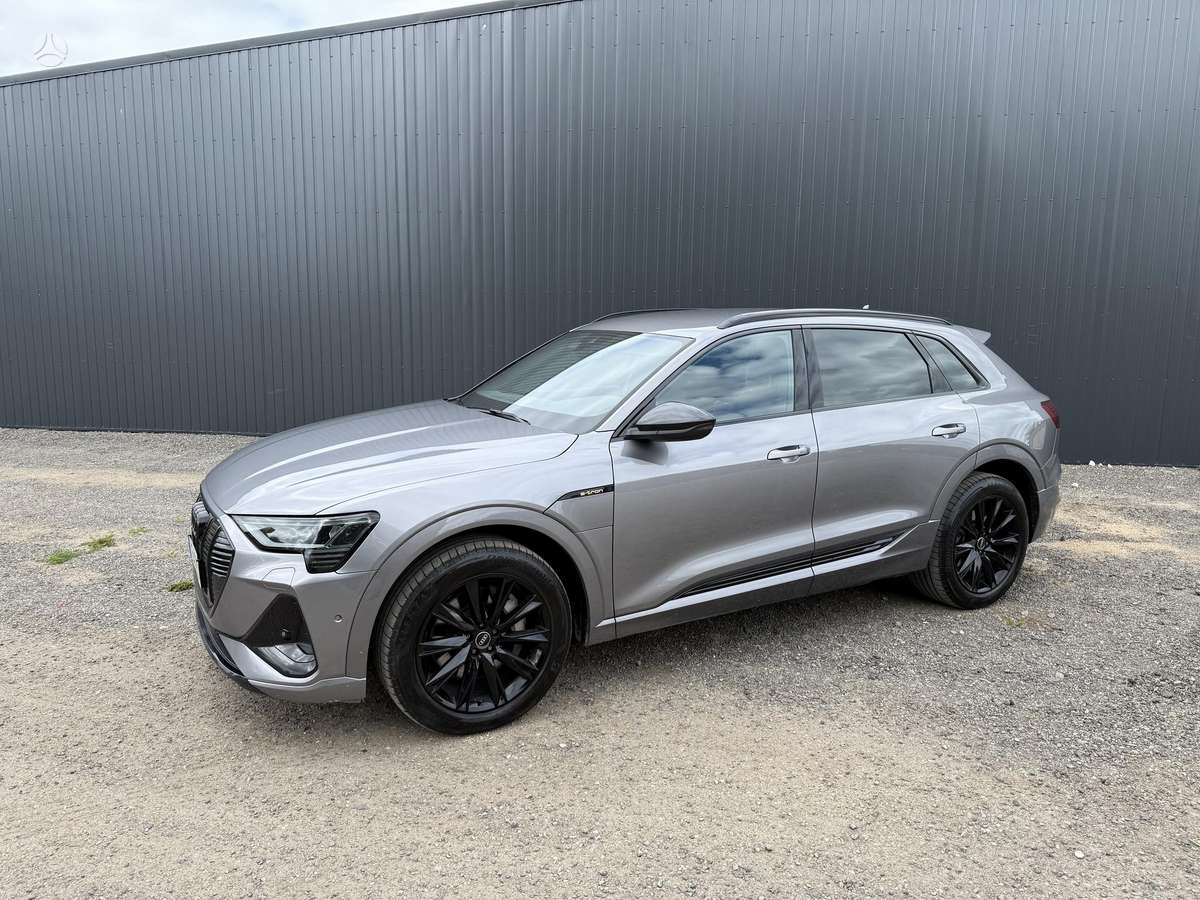 Audi e-tron, vienatūris