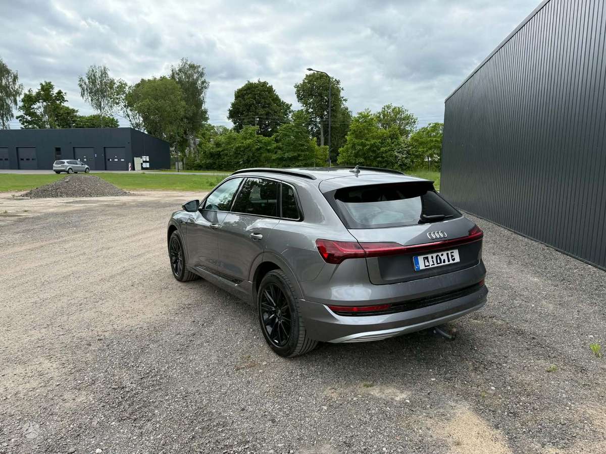 Audi e-tron, vienatūris