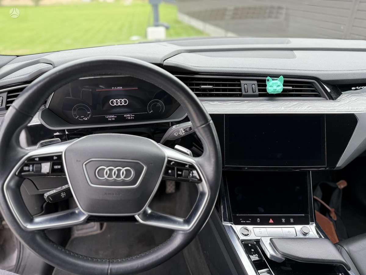 Audi e-tron, vienatūris