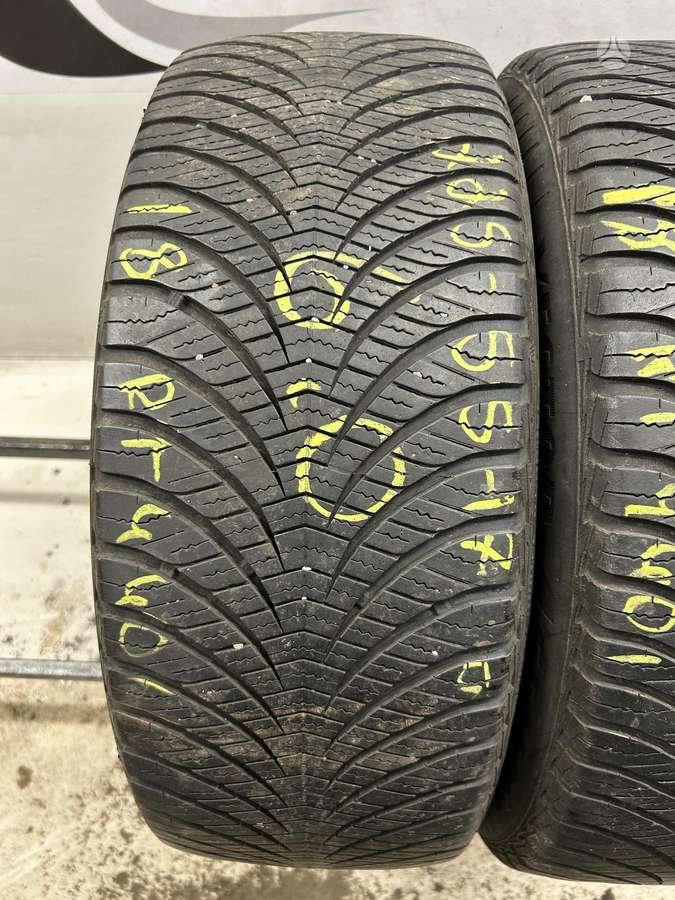 Goodyear Vector4Seasons Gen-2, universalios 225/55 R17