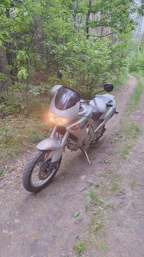Aprilia Pegaso 650cc, эндуро / adventure