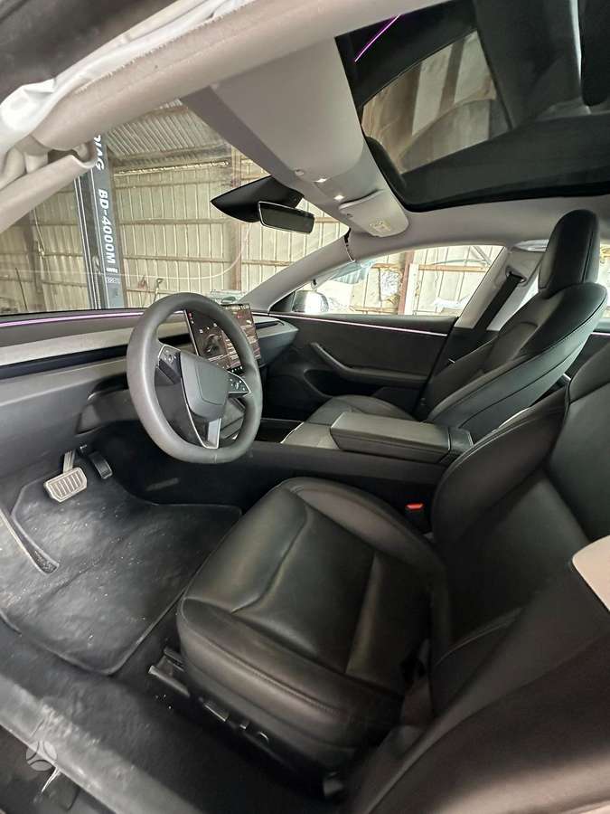 Tesla Model 3, hečbekas