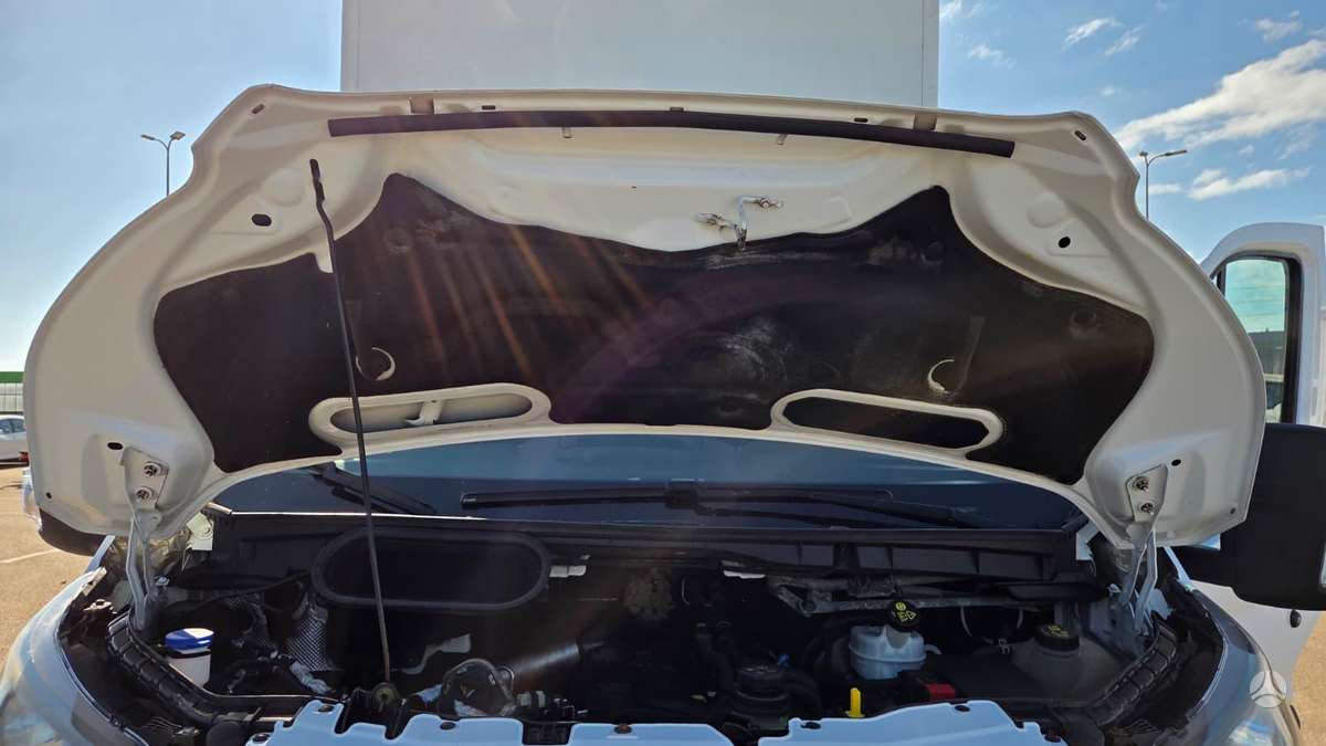 Ford Transit, box trucks / box vans