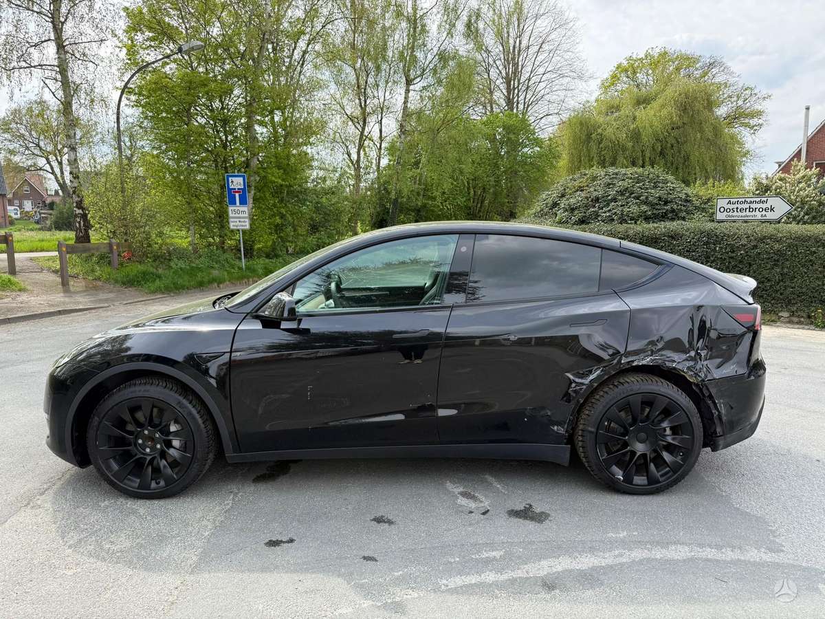 Tesla Model Y, Хэтчбек