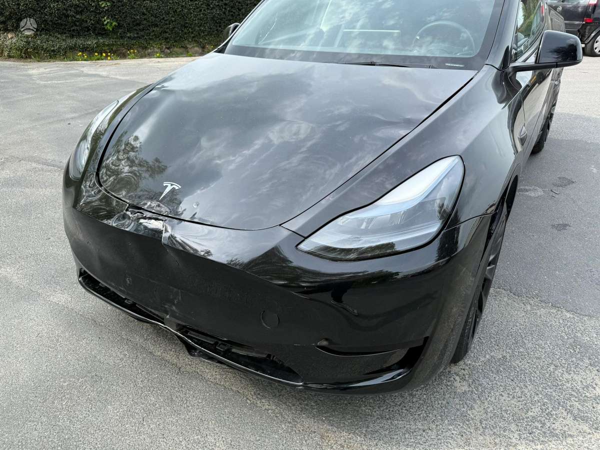 Tesla Model Y, hečbekas