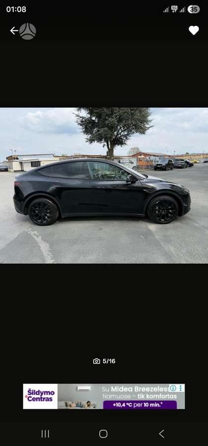 Tesla Model Y, Хэтчбек