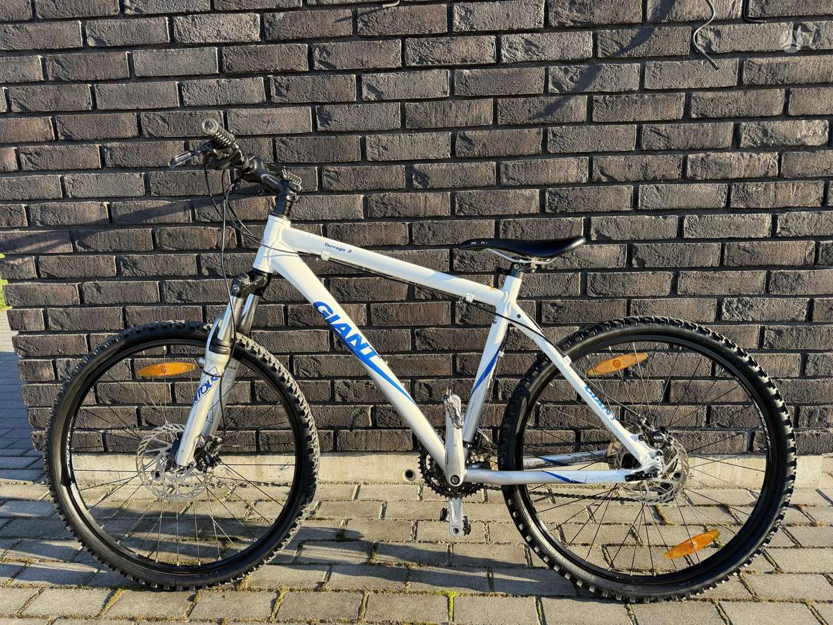 Mountain bike Giant 26″