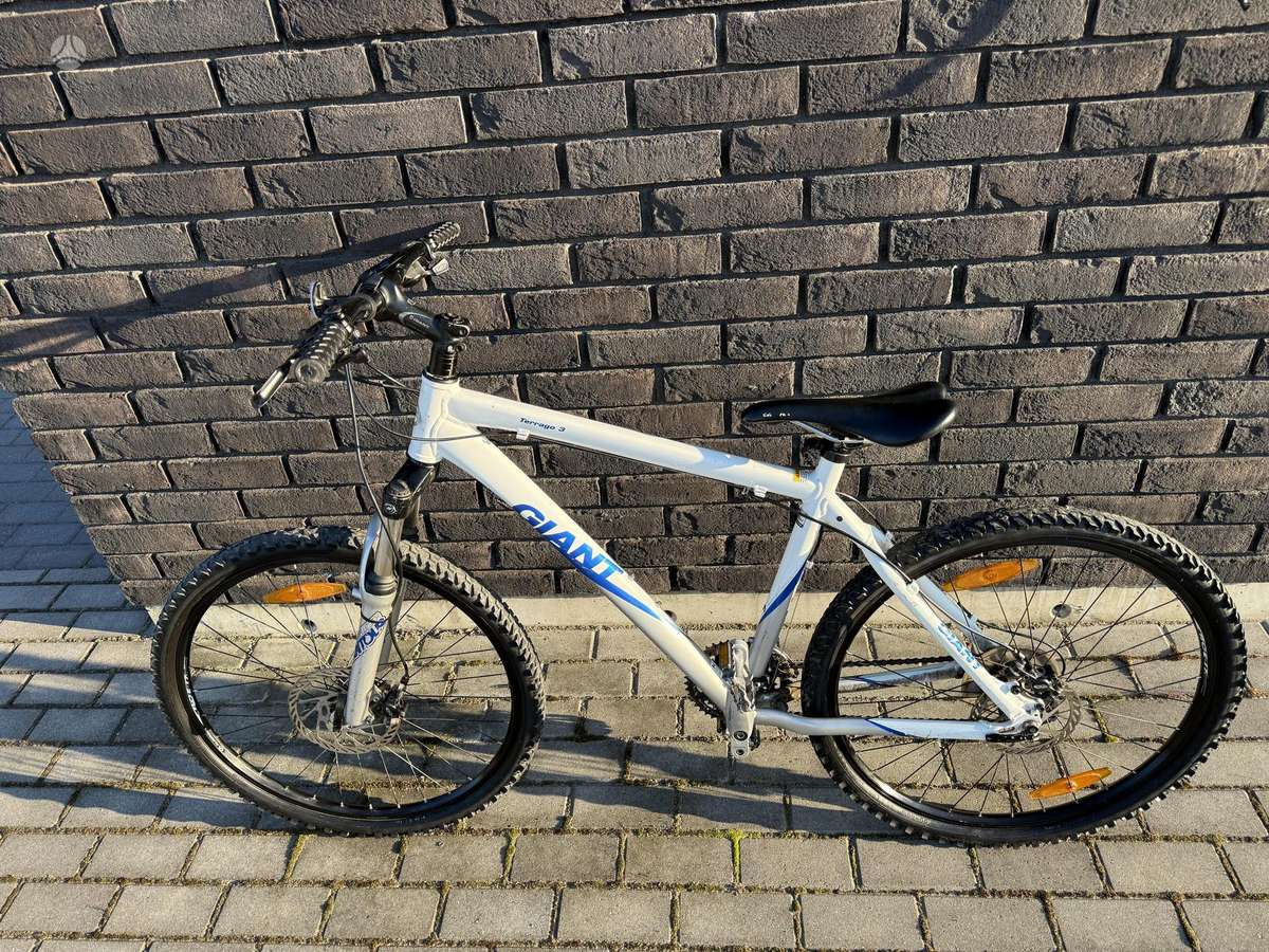 Mountain bike Giant 26″